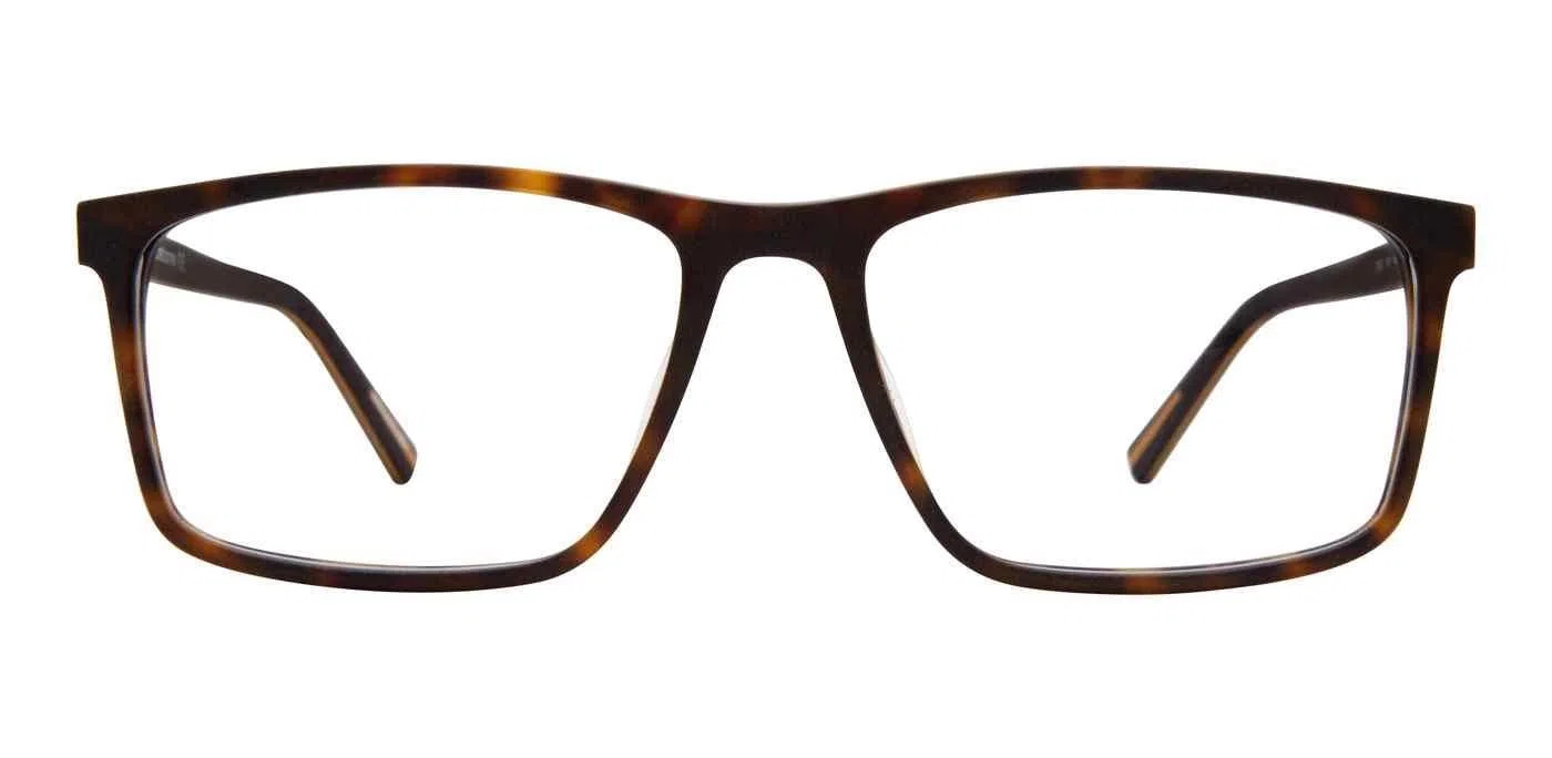 Claiborne 322 Eyeglasses - view 8